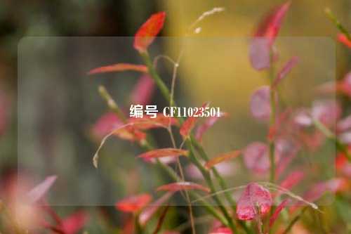编号 CF11023501