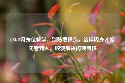 CSGO闪身位教学，别贴墙探头，这样闪身才能先看到人，顺便解决闪现瞬移