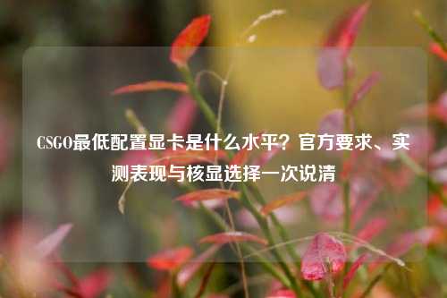 CSGO最低配置显卡是什么水平?官方要求、实测表现与核显选择一次说清