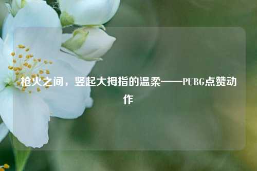 枪火之间，竖起大拇指的温柔——PUBG点赞动作