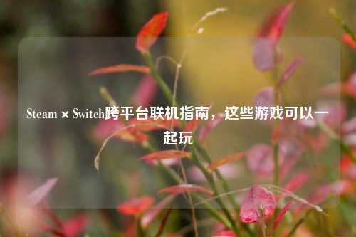 Steam×Switch跨平台联机指南，这些游戏可以一起玩