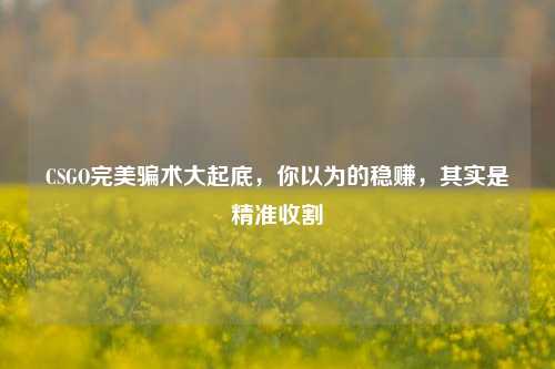 CSGO完美骗术大起底,你以为的稳赚,其实是精准收割