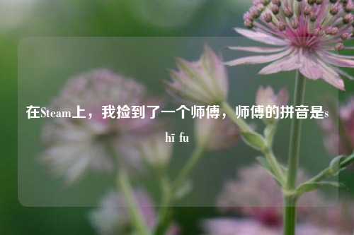 在Steam上，我捡到了一个师傅，师傅的拼音是shī fu