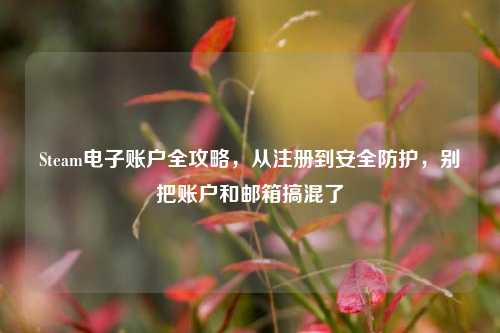 Steam电子账户全攻略，从注册到安全防护，别把账户和邮箱搞混了