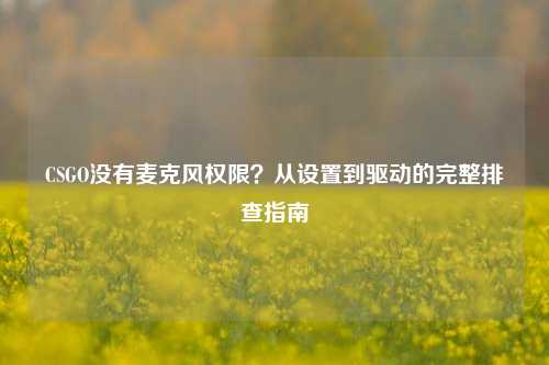 CSGO没有麦克风权限?从设置到驱动的完整排查指南