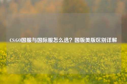 CS:GO国服与国际服怎么选?国版美版区别详解