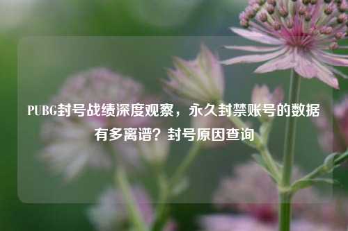 PUBG封号战绩深度观察,永久封禁账号的数据有多离谱?封号原因查询