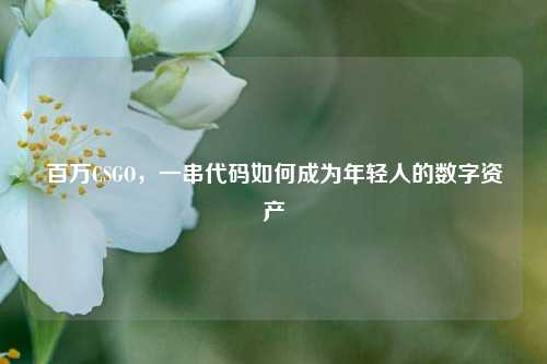 百万CSGO，一串代码如何成为年轻人的数字资产