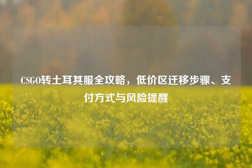 CSGO转土耳其服全攻略，低价区迁移步骤、支付方式与风险提醒