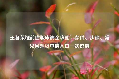 王者荣耀前瞻版申请全攻略，条件、步骤、常见问题及申请入口一次说清