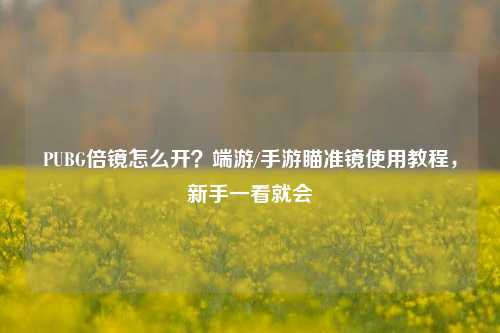 PUBG倍镜怎么开?端游/手游瞄准镜使用教程,新手一看就会