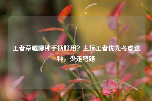 王者荣耀哪种手柄好用?主玩王者优先考虑这种,少走弯路