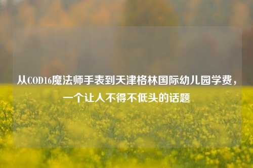 从COD16魔法师手表到天津格林国际幼儿园学费，一个让人不得不低头的话题