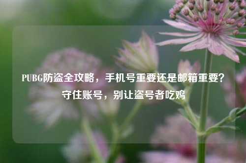 PUBG防盗全攻略，手机号重要还是邮箱重要？守住账号，别让盗号者吃鸡