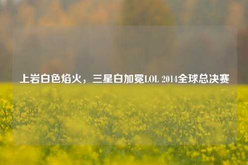 上岩白色焰火,三星白加冕LOL 2014全球总决赛