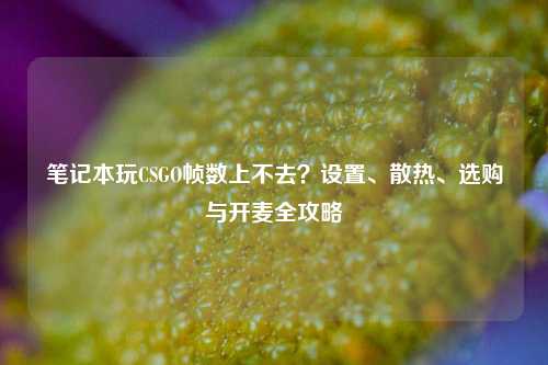 笔记本玩CSGO帧数上不去?设置、散热、选购与开麦全攻略