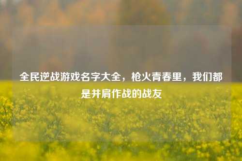 全民逆战游戏名字大全，枪火青春里，我们都是并肩作战的战友