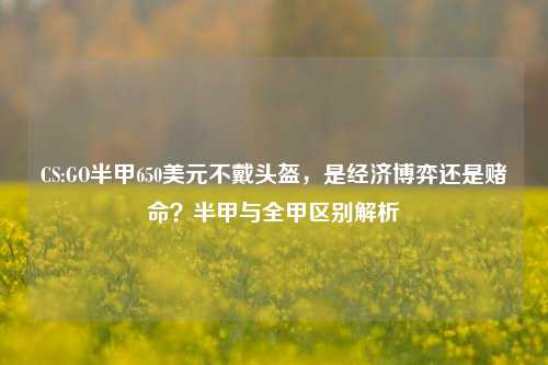CS:GO半甲650美元不戴头盔,是经济博弈还是赌命?半甲与全甲区别解析