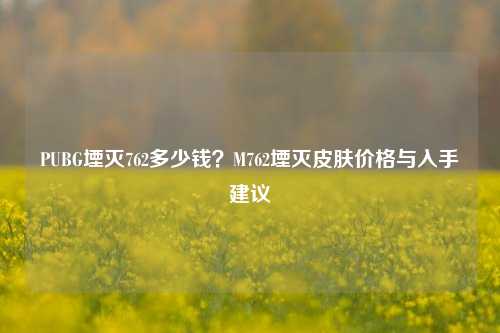 PUBG堙灭762多少钱？M762堙灭皮肤价格与入手建议
