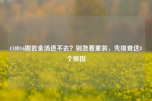 COD16固若金汤进不去？别急着重装，先排查这8个原因