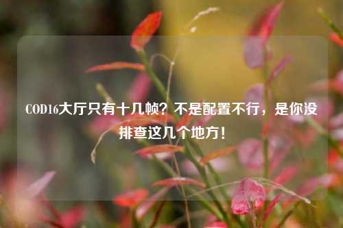 COD16大厅只有十几帧？不是配置不行，是你没排查这几个地方！