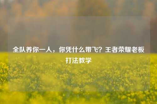 全队养你一人，你凭什么带飞？王者荣耀老板打法教学