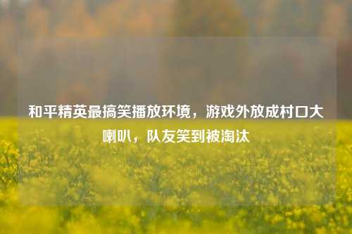 和平精英最搞笑播放环境，游戏外放成村口大喇叭，队友笑到被淘汰