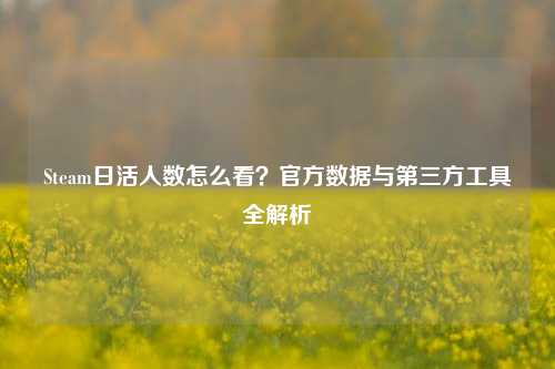 Steam日活人数怎么看？官方数据与第三方工具全解析