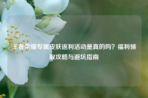 王者荣耀专属皮肤返利活动是真的吗？福利领取攻略与避坑指南