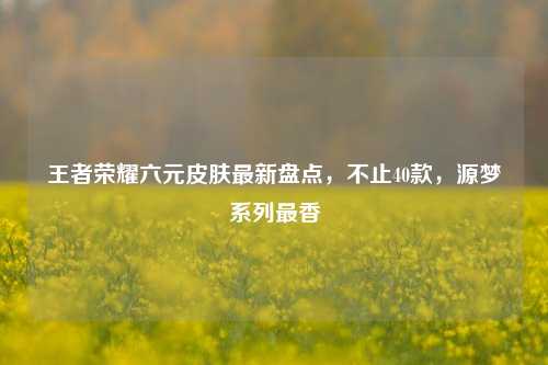 王者荣耀六元皮肤最新盘点,不止40款,源梦系列最香