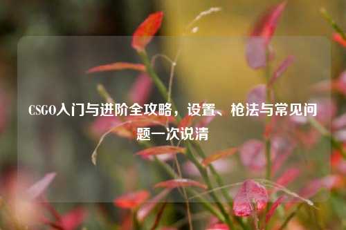CSGO入门与进阶全攻略，设置、枪法与常见问题一次说清