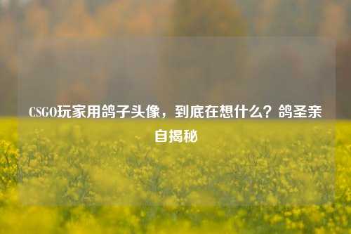 CSGO玩家用鸽子头像，到底在想什么？鸽圣亲自揭秘