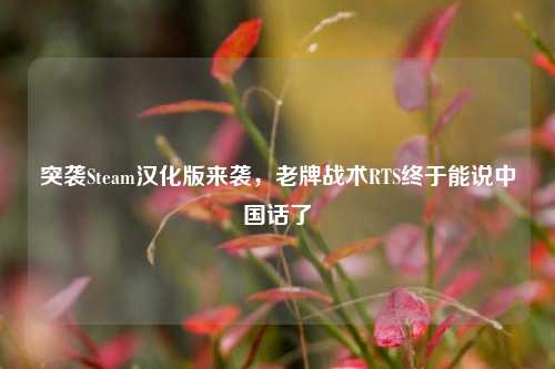 突袭Steam汉化版来袭,老牌战术RTS终于能说中国话了