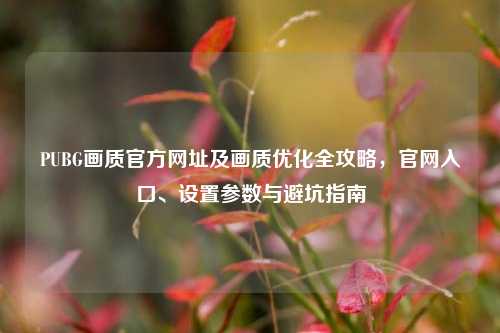 PUBG画质官方网址及画质优化全攻略，官网入口、设置参数与避坑指南