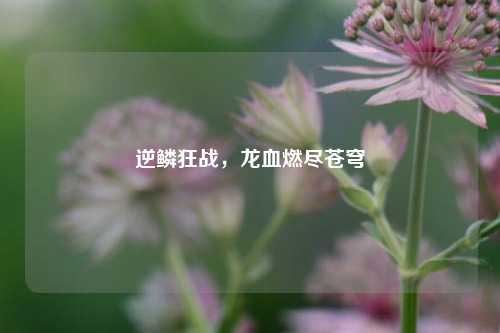 逆鳞狂战，龙血燃尽苍穹