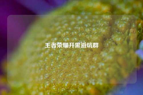王者荣耀开黑避坑群