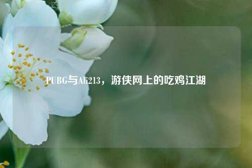 PUBG与Ali213，游侠网上的吃鸡江湖