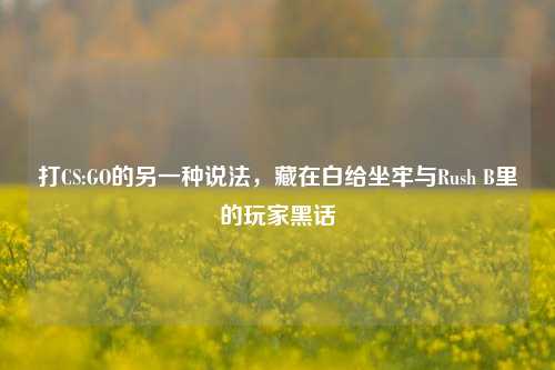 打CS:GO的另一种说法，藏在白给坐牢与Rush B里的玩家黑话