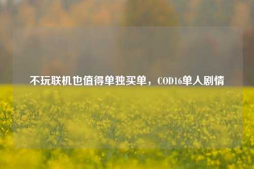 不玩联机也值得单独买单，COD16单人剧情