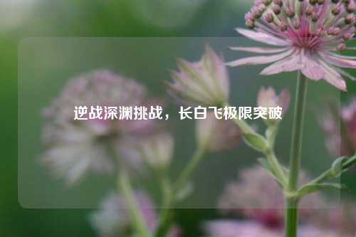 逆战深渊挑战,长白飞极限突破