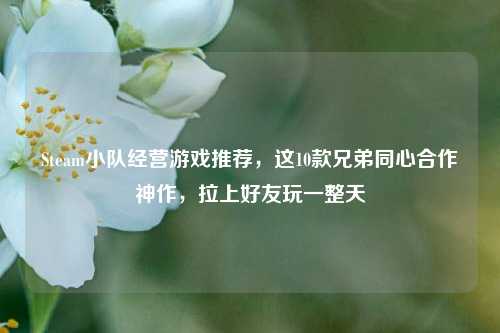 Steam小队经营游戏推荐,这10款兄弟同心合作神作,拉上好友玩一整天