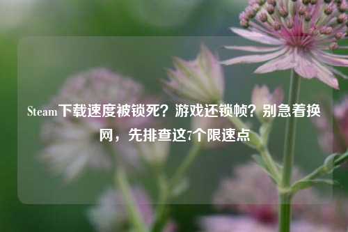 Steam下载速度被锁死?游戏还锁帧?别急着换网,先排查这7个限速点