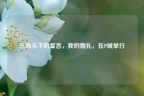 三级头下的誓言，我的婚礼，在P城举行