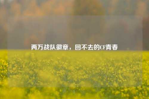 两万战队徽章,回不去的CF青春