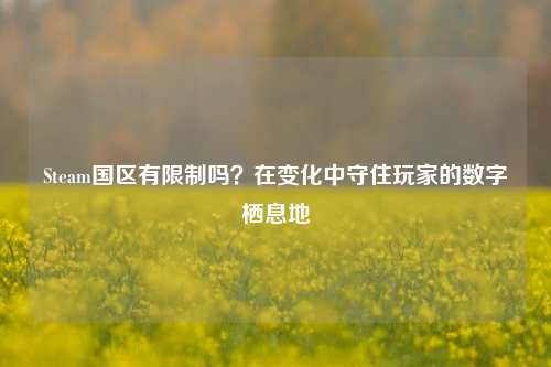 Steam国区有限制吗？在变化中守住玩家的数字栖息地