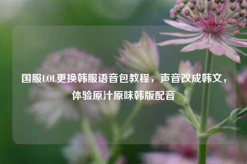 国服LOL更换韩服语音包教程，声音改成韩文，体验原汁原味韩版配音