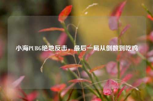 小海PUBG绝地反击，最后一局从倒数到吃鸡