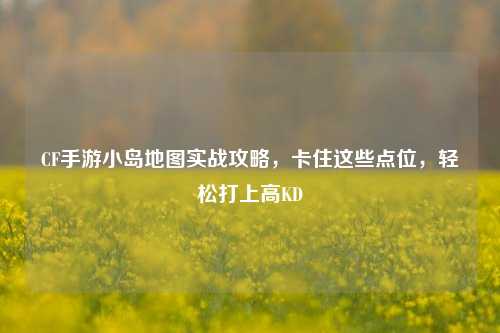 CF手游小岛地图实战攻略，卡住这些点位，轻松打上高KD