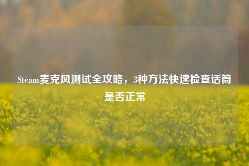 Steam麦克风测试全攻略，3种方法快速检查话筒是否正常