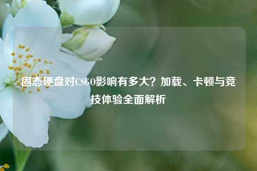 固态硬盘对CSGO影响有多大?加载、卡顿与竞技体验全面解析
